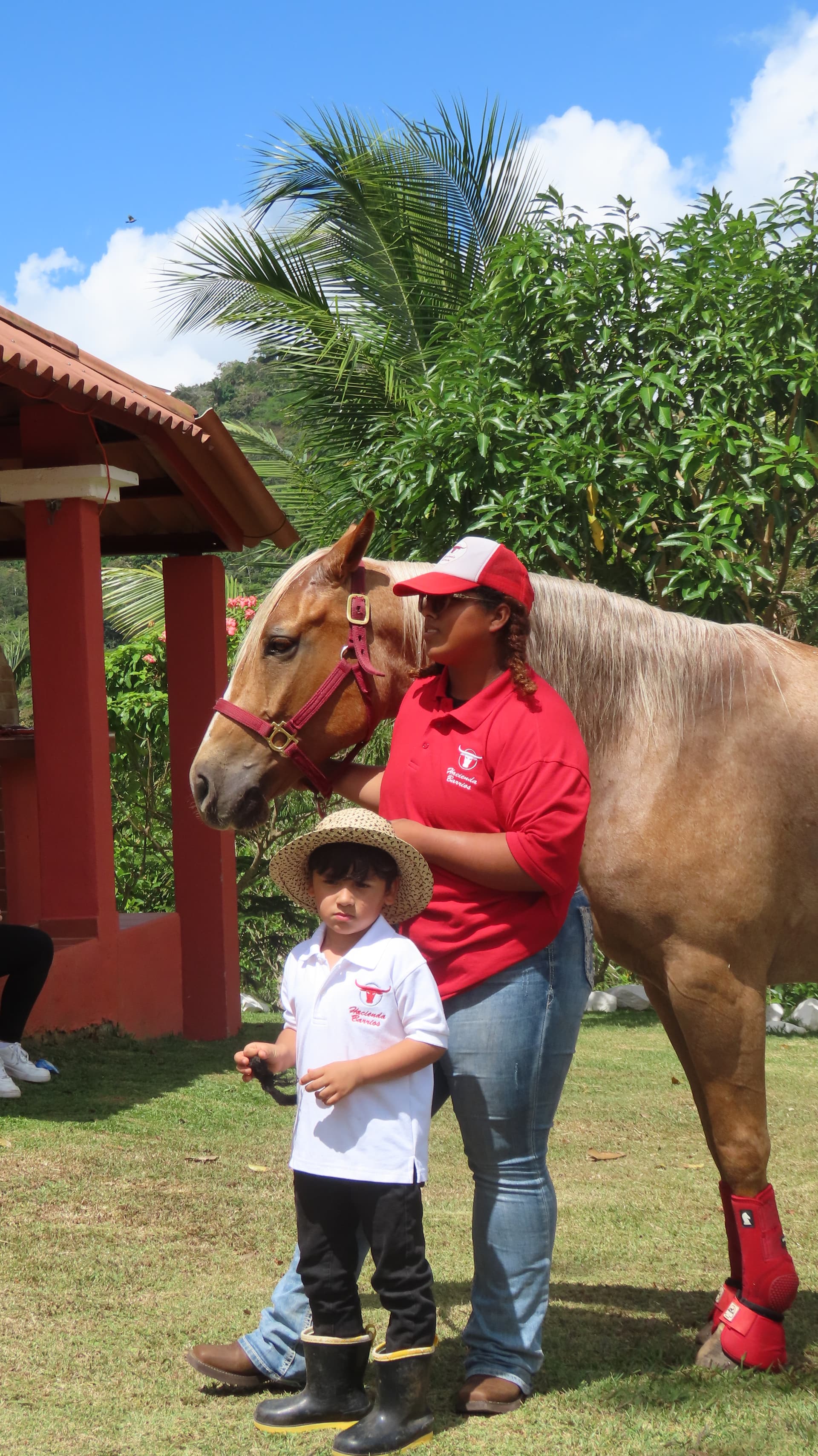 Caballo durante una actividad de la hacienda