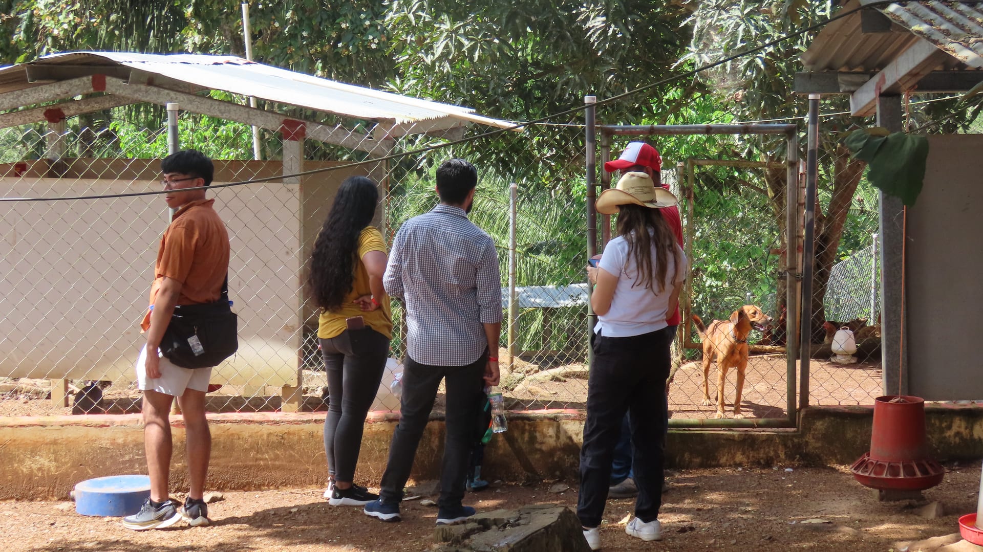 Visitantes caminando por la finca