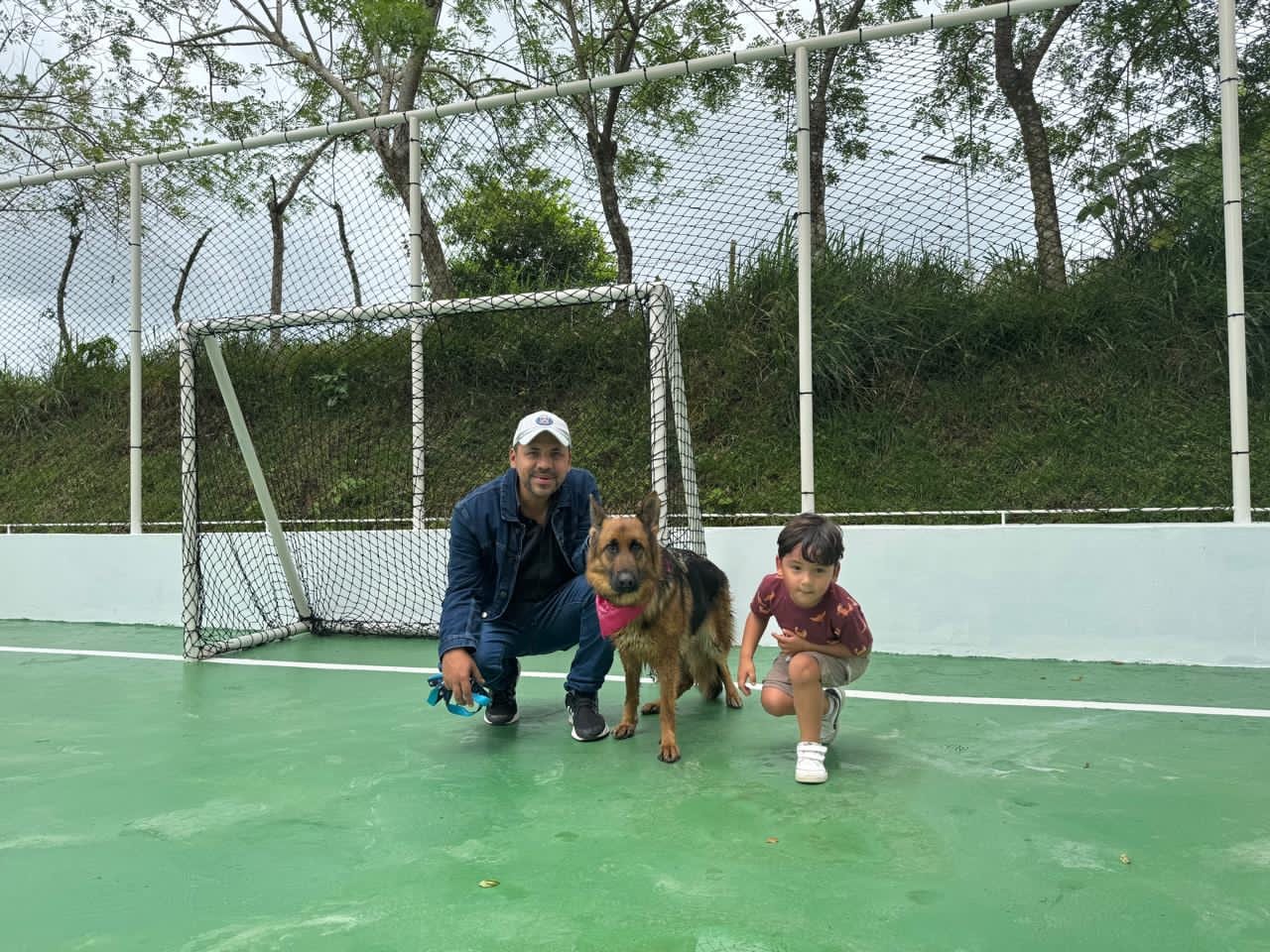 Cachorro pastor aleman en Hacienda Barrios