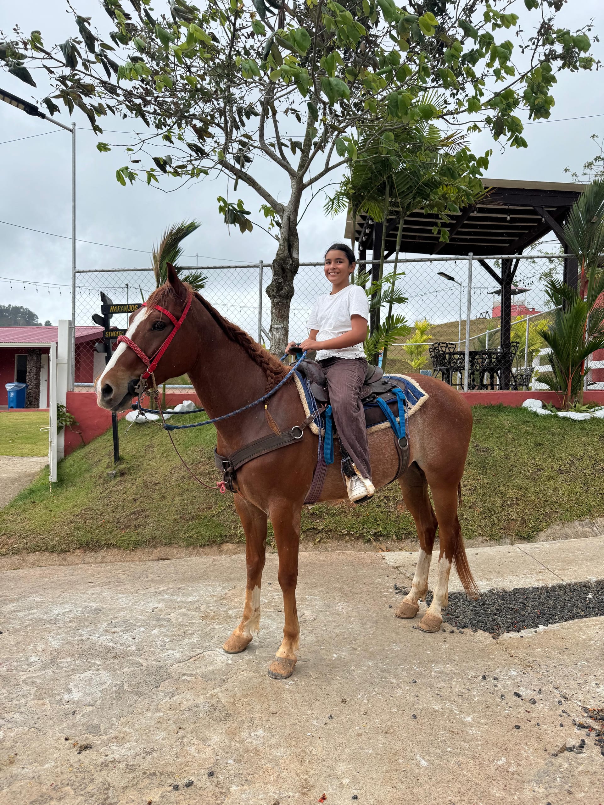 Caballo listo para recorrido en la hacienda